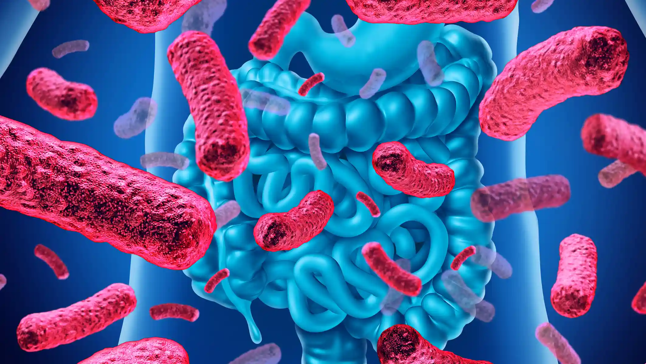 Alimenta a tus microbios: Cómo la dieta da forma a tu microbioma intestinal
