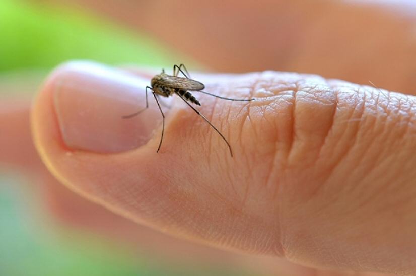 Día Mundial de las Enfermedades Tropicales Desatendidas: Hacer realidad la equidad sanitaria