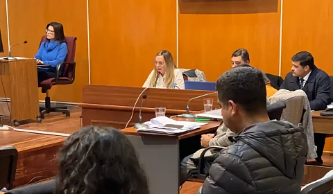 La fiscal Salinas Odorisio en juicio