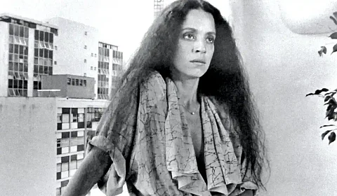 Sonia Braga