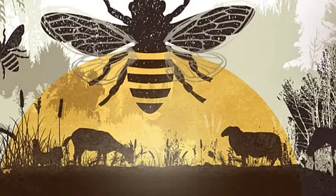 Proyección del documental 'El camino es la agroecología'