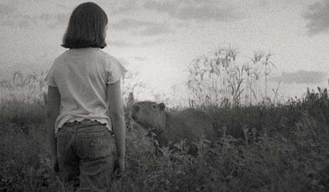 Martes de cine con 'El mensaje' en la Usina Cultural