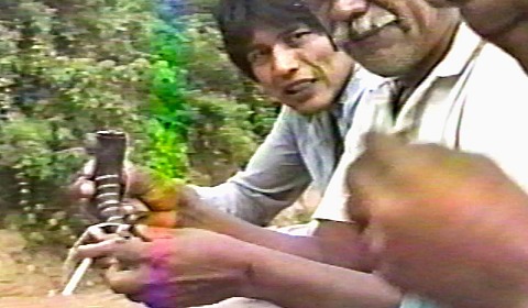 Martes de cine con 'Las almas' y 'Bajo las banderas, el sol'