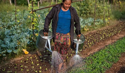 2026: Año Internacional de la Agricultora