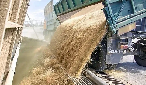 El índice de precios de los alimentos de la FAO evoluciona al alza en julio