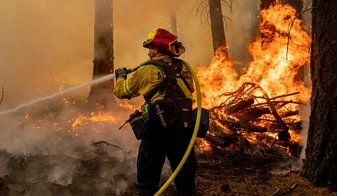 65 intervenciones de Defensa Civil por incendios forestales en Salta Imagen ilustrativa