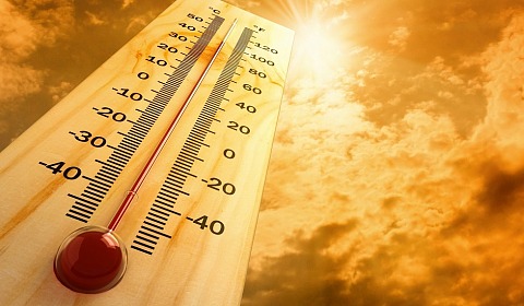 Alerta por calor en el norte y este de Salta