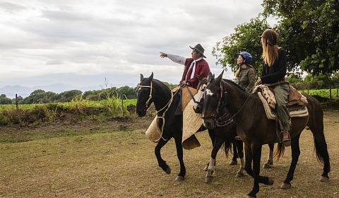 El turismo de Semana Santa produjo en Salta un impacto económico de más de 14.400 millones de pesos