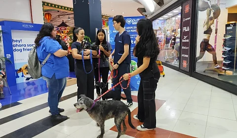 Jornada de adopción de mascotas y tenencia responsable de animales en Salta