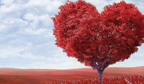 Taller sobre los órdenes del amor en la Usina Cultural
