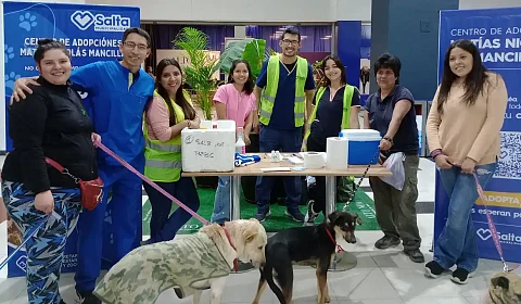 Jornada de adopción de mascotas y tenencia responsable de animales en Salta