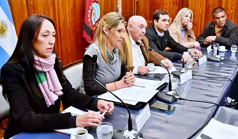 La presidenta del IPV informa a senadores provinciales sobre las obras en marcha Reunión en la Cámara de Senadores