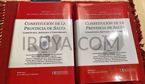 La Constitución 'política' del Estado Imagen ilustrativa