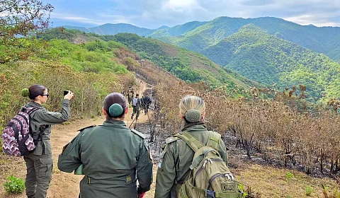 Fiscales revelan nuevos detalles acerca de la escena del hallazgo del cadáver de Cordeyro Peritos federales camino a la cima del cerro Elefante