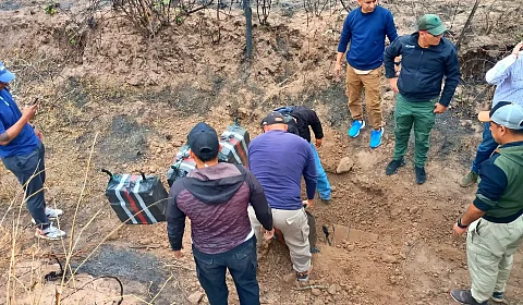 Hallan 228 kilos de droga enterrada en el lugar en que cayó la avioneta boliviana Hallazgo de droga enterrada en Rosario de la Frontera
