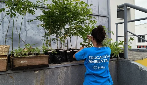 Martes de ecocanje en el Centro Cívico Municipal de Salta