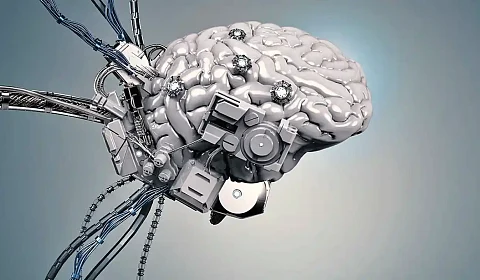 La estupidez humana Imagen ilustrativa