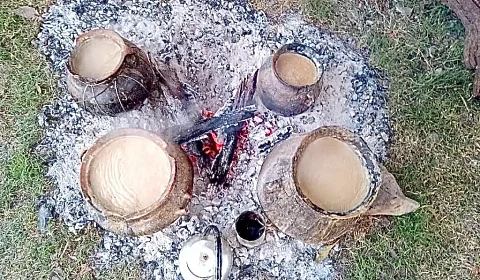 'Sabores de la Quebrada del Toro': un encuentro con la cocina andina