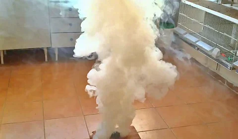 El 'zurdito' que espanta a los zurdazos de Salta Pastilla de gamexane encendida