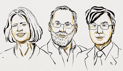Premio Nobel de Medicina para Mary E. Brunkow, Fred Ramsdell y Shimon Sakaguchi 'por sus descubrimientos relacionados con la tolerancia inmunitaria periférica'