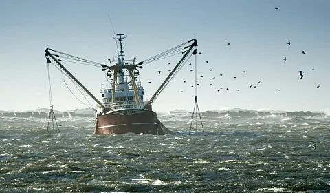 Las consecuencias de una pesca ilegal, no declarada y no regulada
