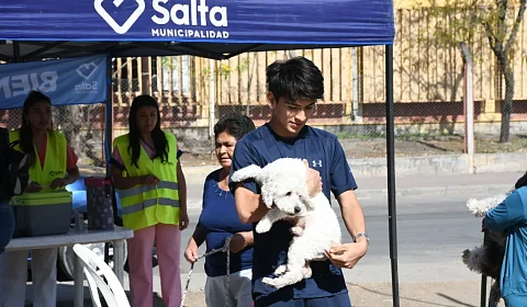 Jornadas de vacunación antirrábica en los barrios de la ciudad de Salta