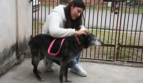 Xuxa encuentra una familia tras 14 años en el centro de adopciones municipal