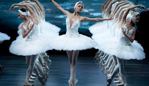 El Ballet de la Provincia presenta 'El lago de los cisnes'