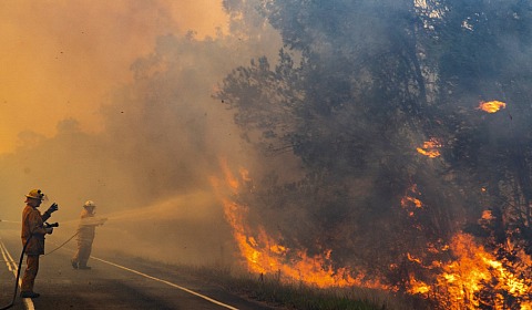 4 de mayo: Día Internacional del Combatiente de Incendios Forestales