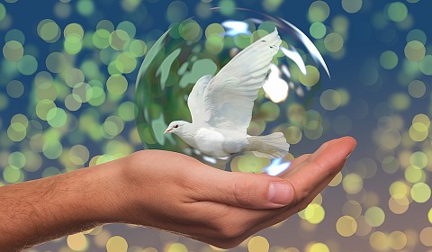 2025: Año Internacional de la Paz y la Confianza