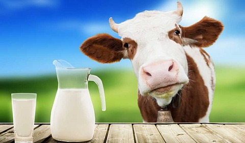 Se celebra hoy el Día Mundial de la Leche Escolar