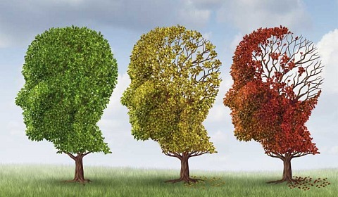 21 de septiembre: Día Mundial del Alzheimer
