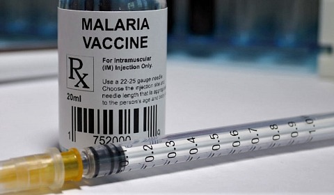 La malaria acaba con nosotros: Reinvertir, reimaginar, reavivar