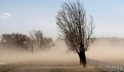 Alerta naranja por viento en los valles de Salta