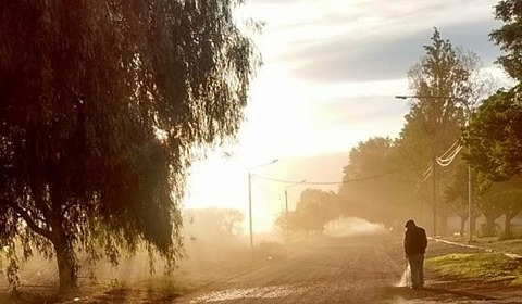 Alerta por viento zonda en los valles y viento fuerte en la puna de Salta