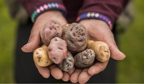 Configurar la historia, alimentar el futuro