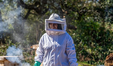 Revertir la deforestación mediante el empoderamiento de las comunidades rurales en América del Sur