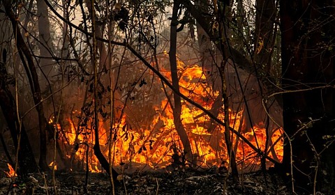 El cambio climático golpea a América Latina y el Caribe