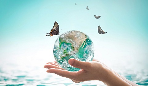 Actividades en Salta con ocasión del Día Mundial del Ambiente Imagen ilustrativa