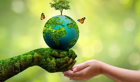 Se celebra hoy el Día Internacional de la Madre Tierra