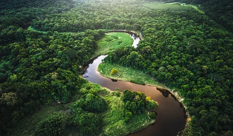 Armonía con la naturaleza y desarrollo sostenible