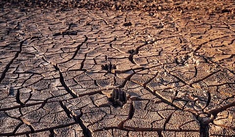 La degradación de la tierra afecta la productividad agrícola y amenaza a 1700 millones de personas