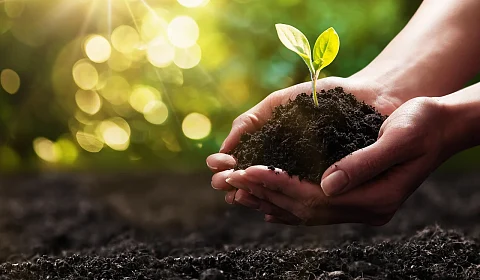 La gestión sostenible del nitrógeno, tan necesario para alimentarnos como peligroso para la salud y el medio ambiente