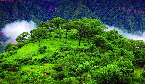 Las reservas de biosfera, una relación sostenible y armoniosa con la naturaleza