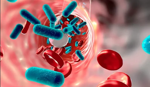 13 de septiembre: Día Mundial de la Sepsis